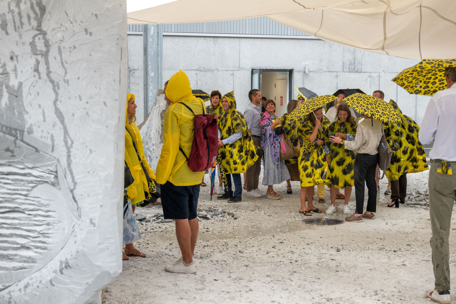 Reception in honour of the Locarno Film Festival partners